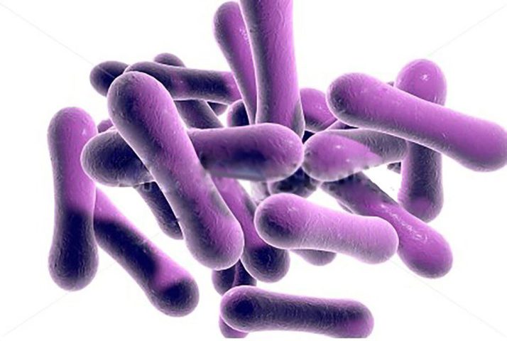 Vi khuẩn bạch hầu Corynebacterium diphtheriae dưới kính hiển vi điện tử, đây là nguyên nhân gây bệnh bạch hầu ở mọi lứa tuổi