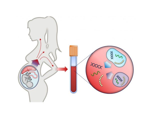 Xét nghiệm giúp đánh giá sàng lọc trước sinh.