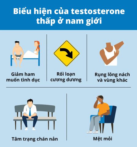 Nồng độ Testosterone thấp gây ra nhiều vấn đề nghiêm trọng đối với sức khỏe nam giới