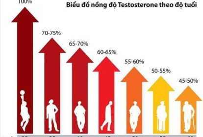 Sự thay đổi của Testosterone theo độ tuổi