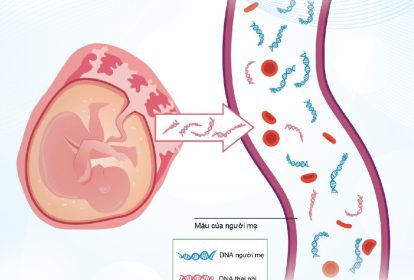 Xét Nghiệm NIPT Có Biết Được Trai Hay Gái Chính Xác Không?