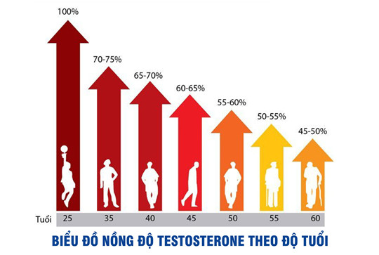 Sự thay đổi của Testosterone theo độ tuổi