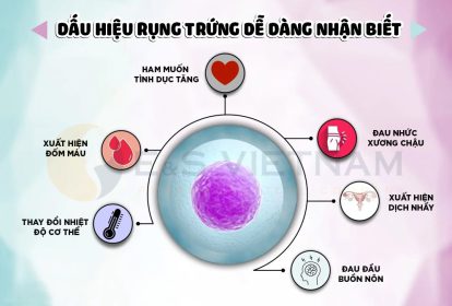 dấu hiệu của quá trình rụng trứng ở người phụ nữ