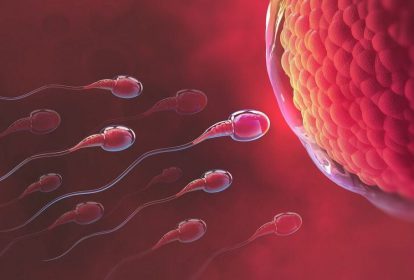 Siêu âm canh trứng giúp dự đoán thời điểm rụng trứng trong điều trị vô sinh
