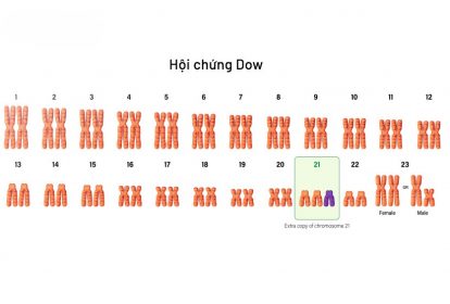 Xét nghiệm NIPT giúp phát hiện ra những bất thường về nhiễm sắc thể của thai nhi một cách chính xác