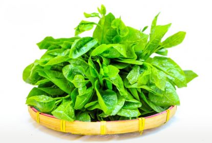 Rau mồng tơi chứa nhiều dinh dưỡng có lợi cho sức khỏe mẹ và thai nhi