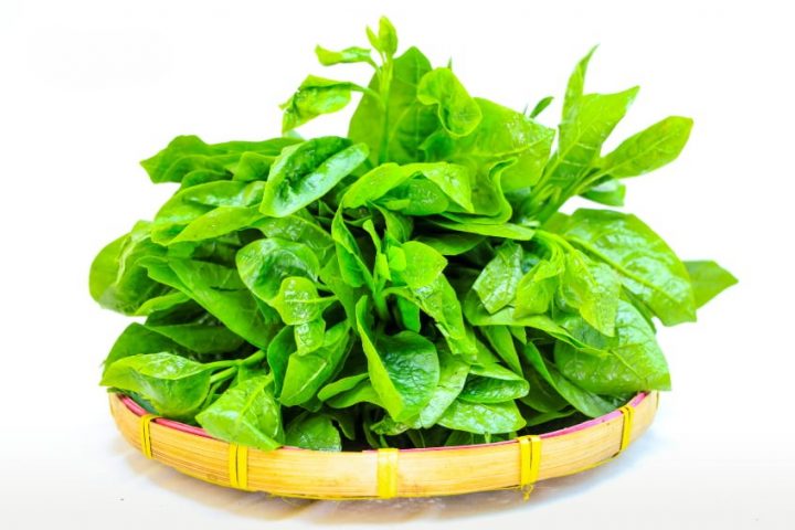 Rau mồng tơi chứa nhiều dinh dưỡng có lợi cho sức khỏe mẹ và thai nhi