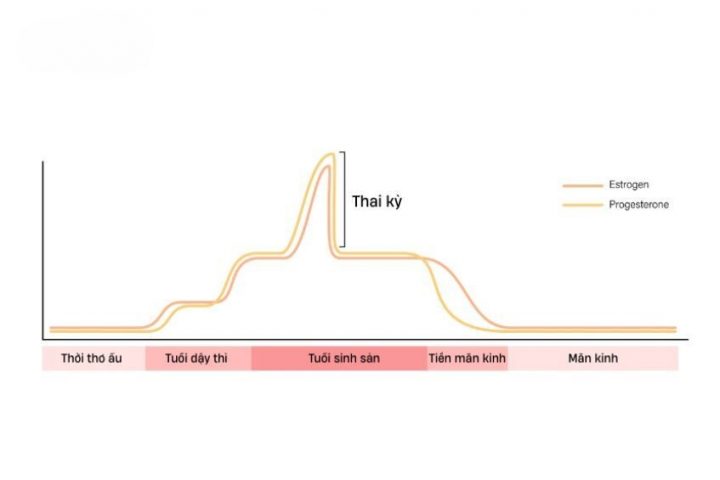 Sự mất cân bằng nồng độ hormone của cơ thể là một trong những nguyên nhân gây nên