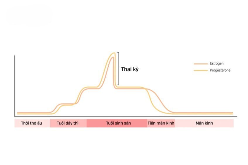Sự mất cân bằng nồng độ hormone của cơ thể là một trong những nguyên nhân gây nên